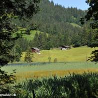 Lauenensee im Berner Oberland 068.jpg